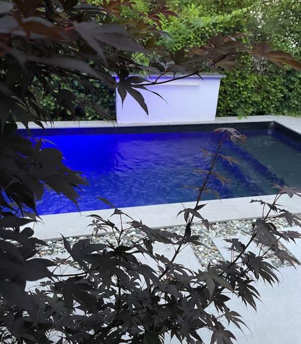 Villa Moderne Avec Piscine อัลบี ภายนอก รูปภาพ